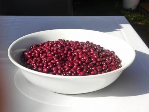 sidra valleoscuru tienda manzanos faba pinta