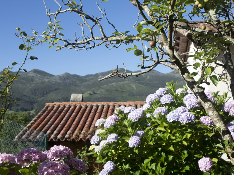 hotel rural asturias encanto naturaleza vistas exteriores 5