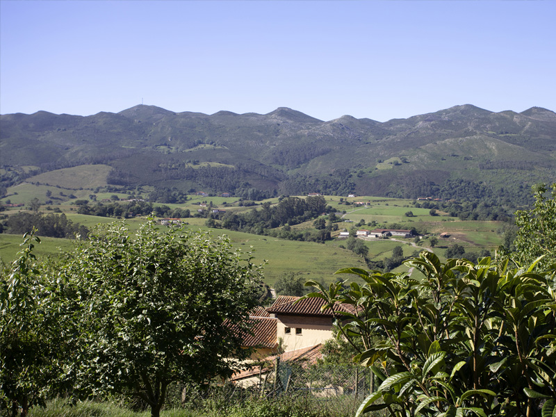 hotel rural asturias encanto naturaleza vistas exteriores